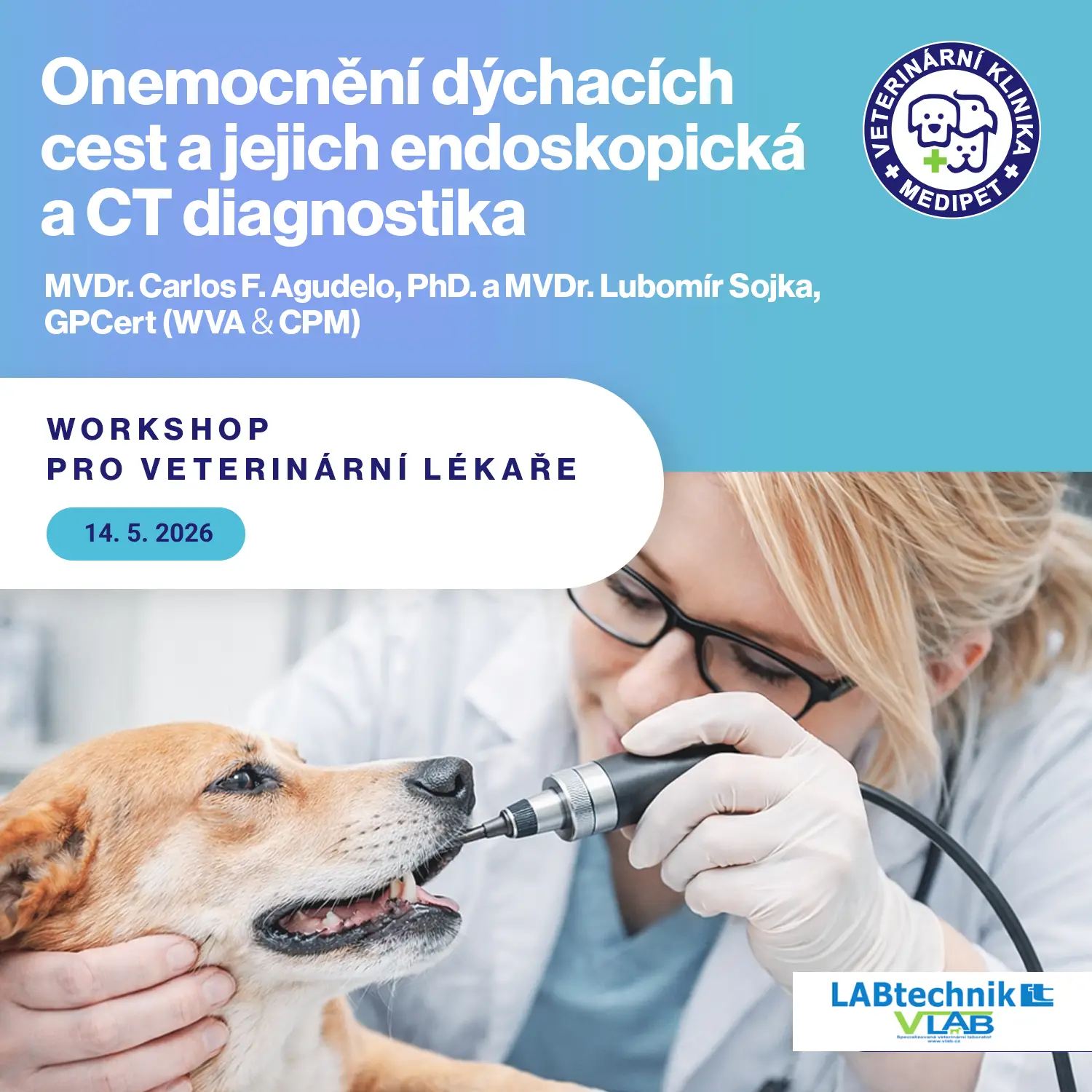 Onemocnění dýchacích cest a jejich endoskopická a CT diagnostika | Veterinární klinika Medipet Zlín