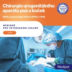 Chirurgie močového aparátu psů a koček | Veterinární klinika Medipet Zlín