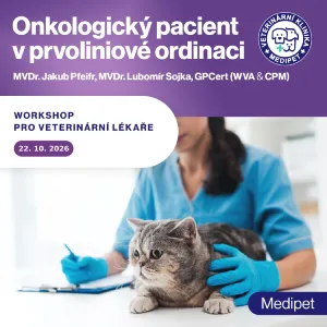 Onkologický pacient v prvoliniové ordinaci | Veterinární klinika Medipet Zlín