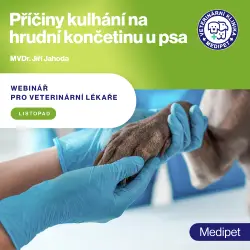 Příčiny kulhání na hrudní končetinu u psa | Veterinární klinika Medipet Zlín