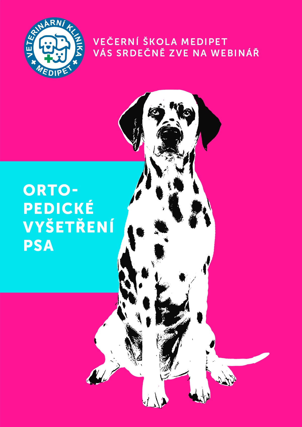 Ortopedické vyšetření psa