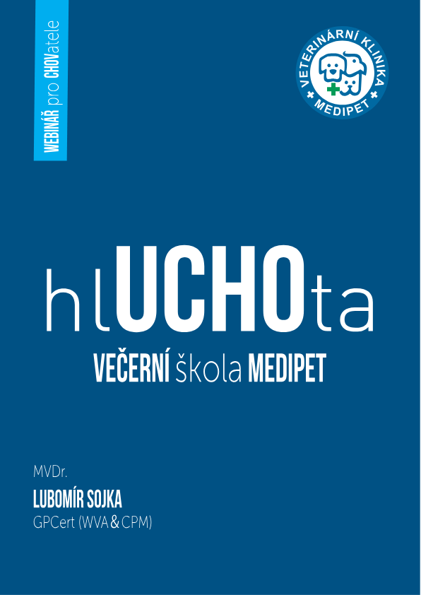 Hluchota – Baer