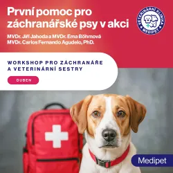 První pomoc pro záchranářské psy v akci | Veterinární klinika Medipet Zlín