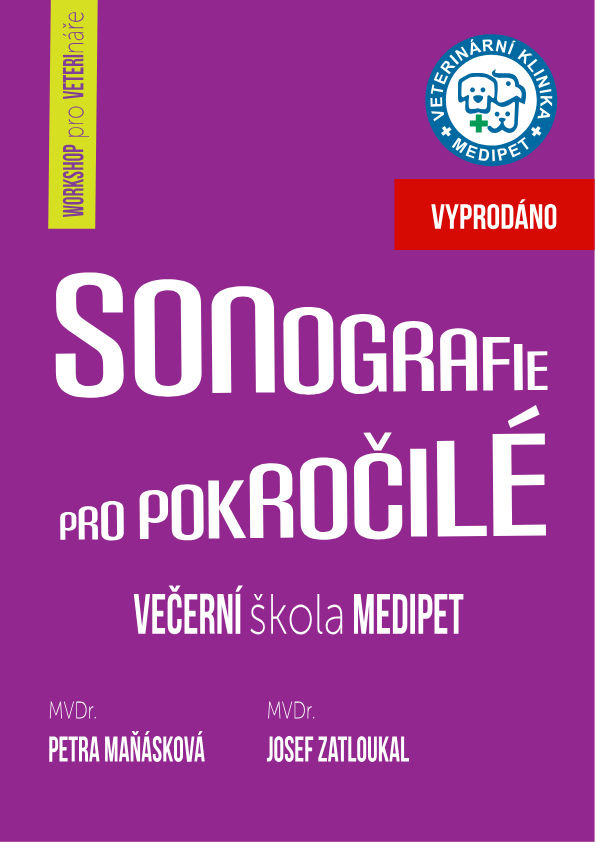 Specifika sonografického vyšetření dutiny břišní u geriatrických psů a koček