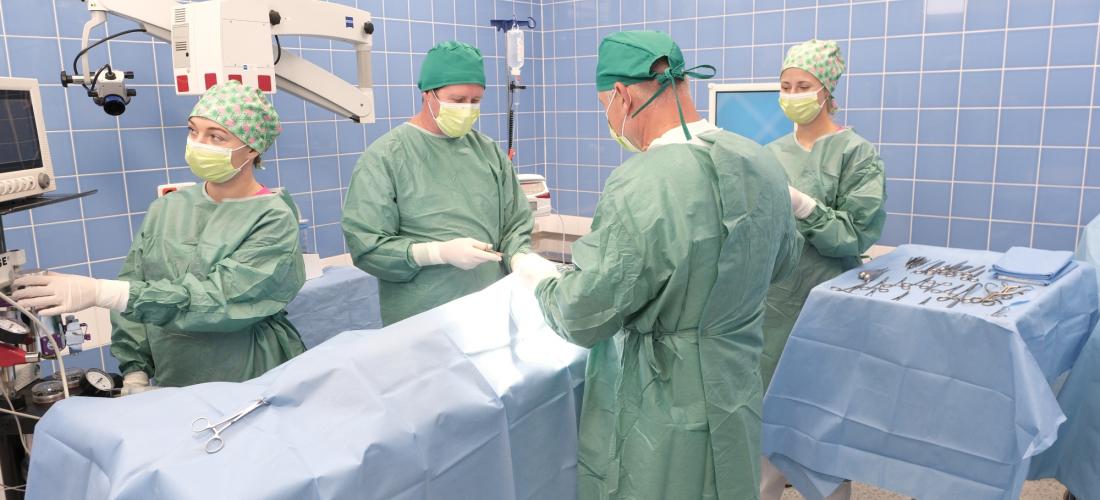 Chirurgie | Veterinární klinika Medipet Zlín