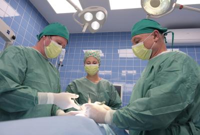 Chirurgie | Veterinární klinika Medipet Zlín