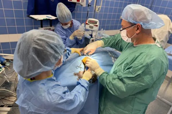 Proč si pro operaci Vašeho zvířete vybrat právě nás? | Veterinární klinika Medipet Zlín