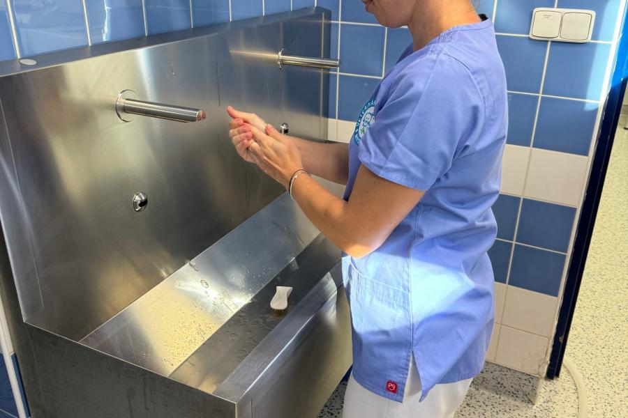 Proč si pro operaci Vašeho zvířete vybrat právě nás? | Veterinární klinika Medipet Zlín