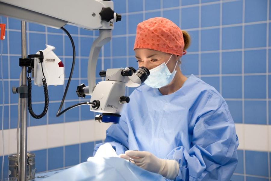 Oční operace psa pod mikroskopem.