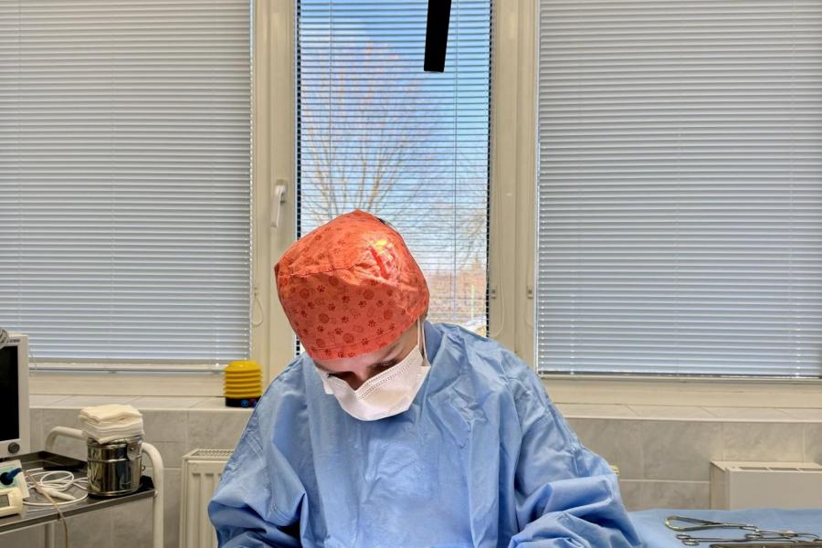 Operace víčka | Veterinární klinika Medipet Zlín