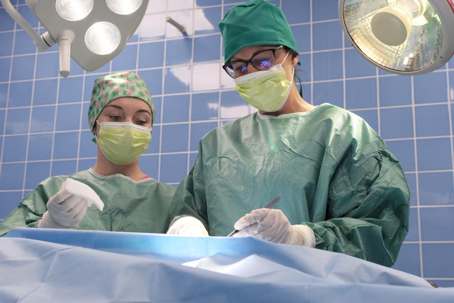 Chirurgie | Veterinární klinika Medipet Zlín