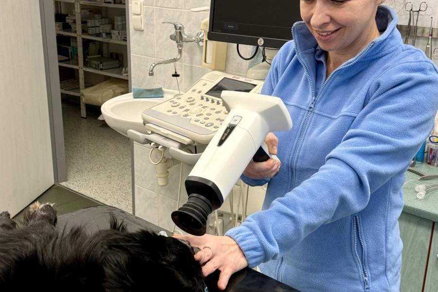 Vyšetření oka fundus kamerou Aurora | Veterinární klinika Medipet Zlín