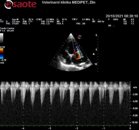 Medipet - kardiologie, posuzování dědičných srdečních vad